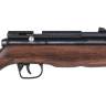 Винтовка PCP CROSMAN Benjamin Discovery BP1K77GP, 4,5 мм